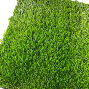 grass 01