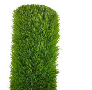 grass 02